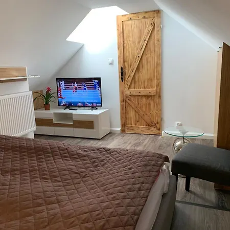 Apartment Dark Horse Chojnice